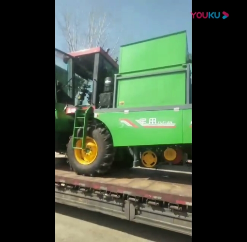 山東髮(fa)貨(huo)視頻