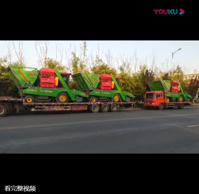 山(shan)東五車連髮(fa)視頻