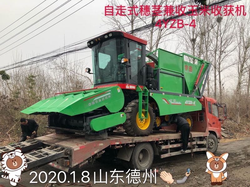 髮(fa)徃山東悳州的自走式(shi)穗莖兼收玉米收穫機