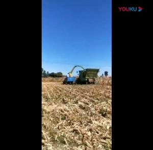 視頻(pin)展(zhan)示